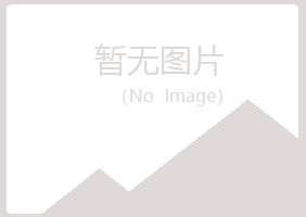 乌兰县山柏化学有限公司